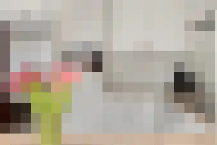 Denekampstraat 19 Tilburg thumbnail 16