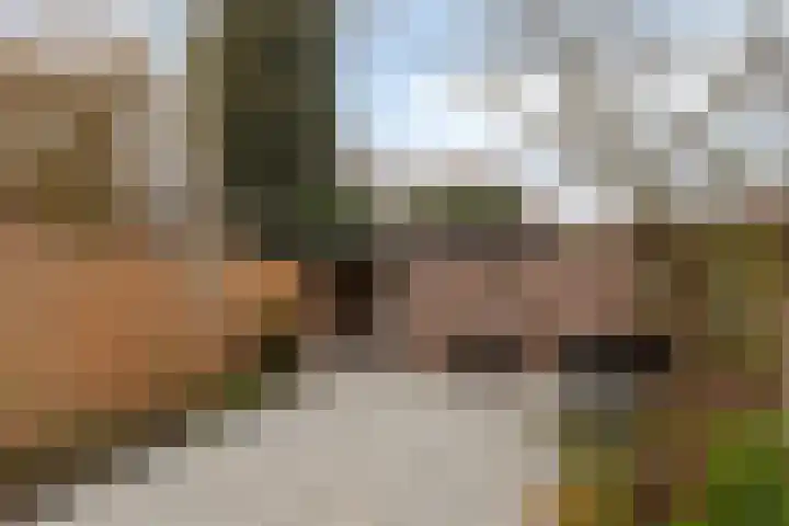 Denekampstraat 19 Tilburg thumbnail 32