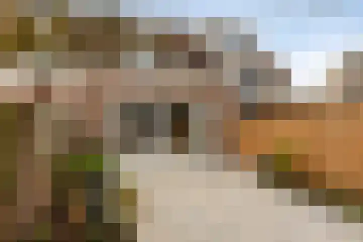Denekampstraat 19 Tilburg thumbnail 34