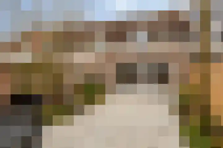 Denekampstraat 19 Tilburg thumbnail 35