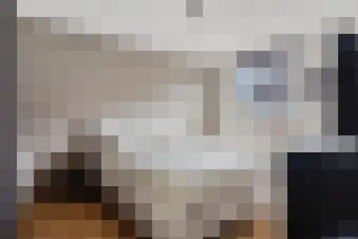 Denekampstraat 3 Tilburg thumbnail 11