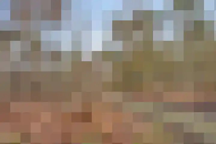 Denekampstraat 3 Tilburg thumbnail 27