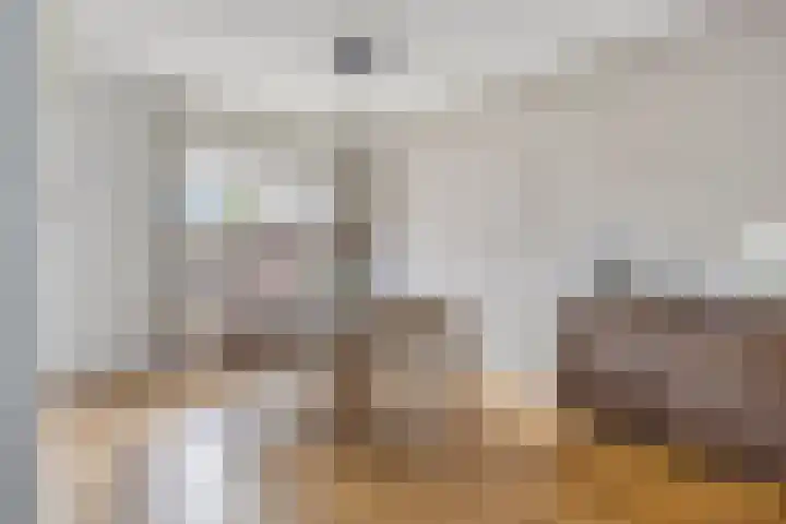 Denekampstraat 3 Tilburg thumbnail 4