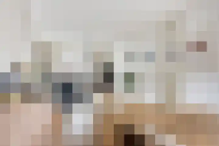 Denekampstraat 3 Tilburg thumbnail 6