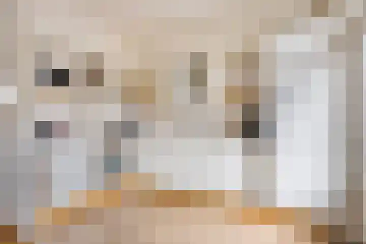 Denekampstraat 3 Tilburg thumbnail 7