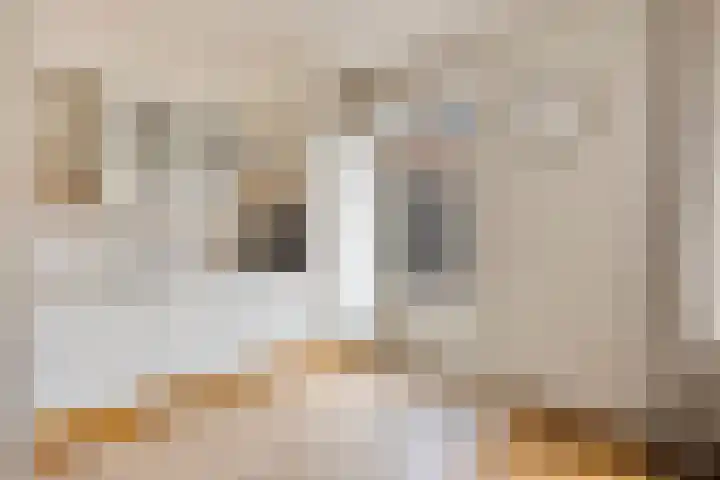 Denekampstraat 3 Tilburg thumbnail 8
