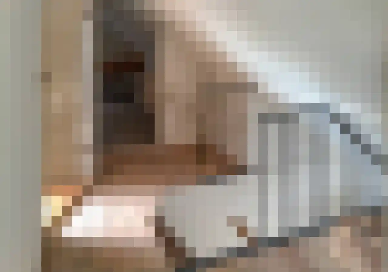 Denemarken 22 Slochteren thumbnail 34