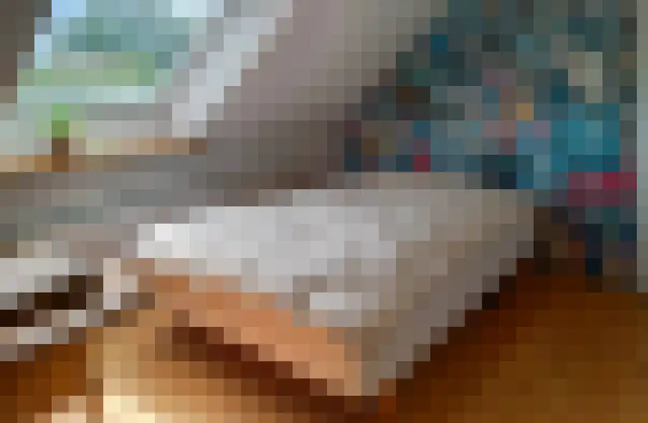 Denemarken 22 Slochteren thumbnail 36