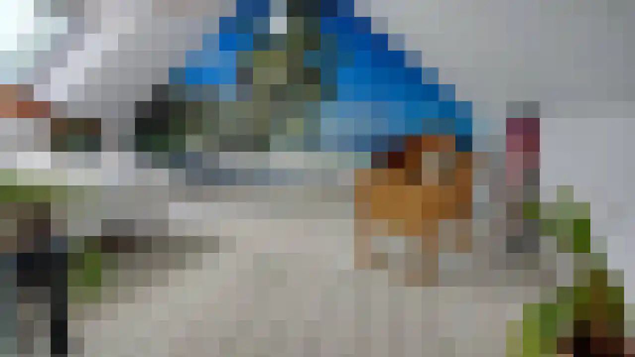 Denemarken 22 Slochteren thumbnail 39