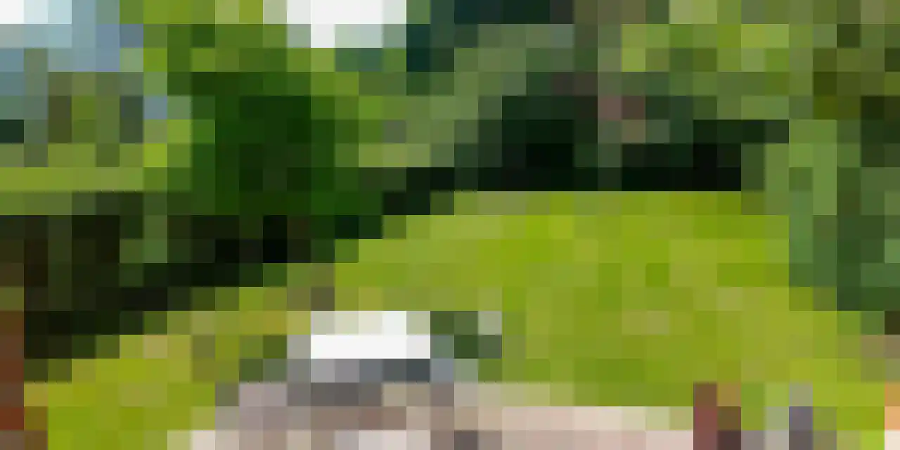 Denemarken 22 Slochteren thumbnail 7