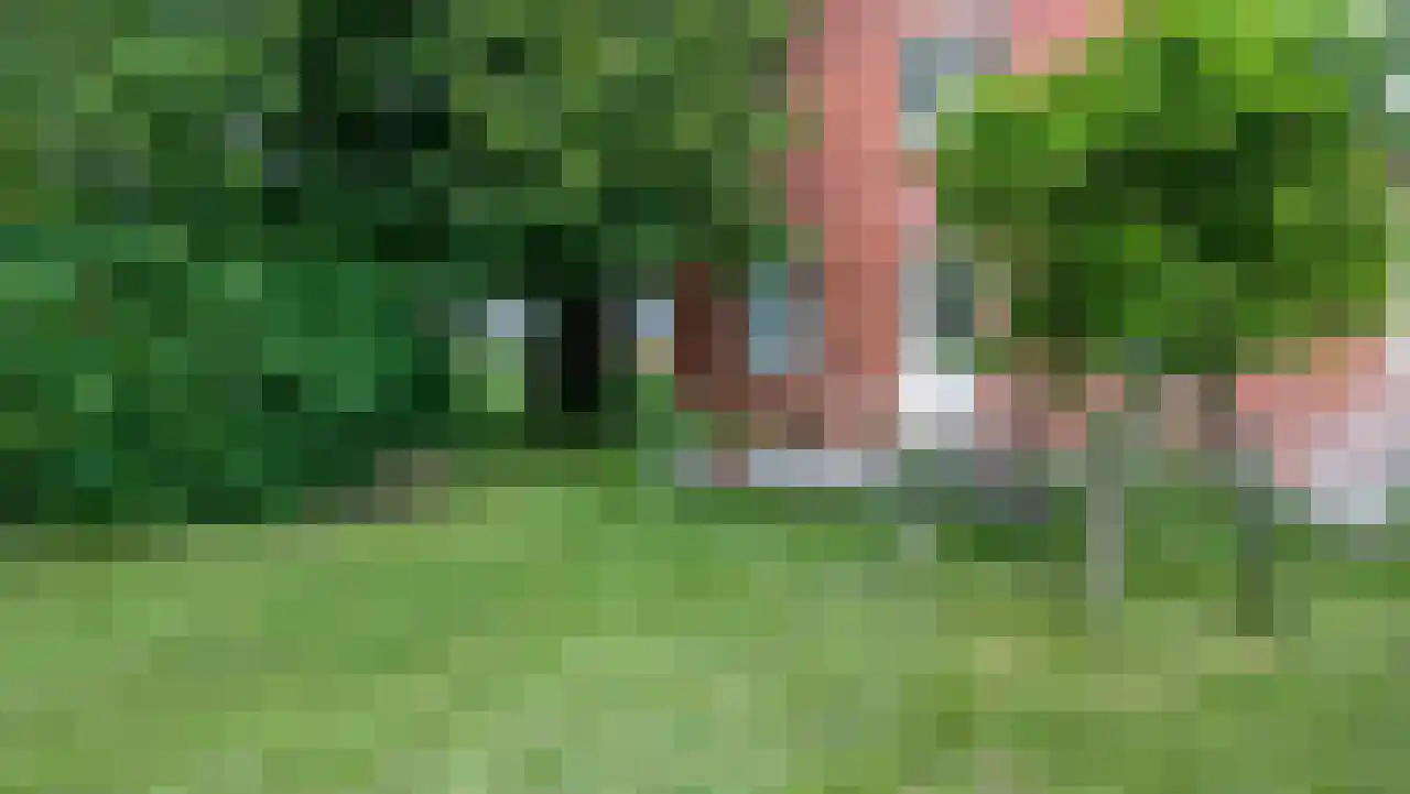 Denemarken 22 Slochteren thumbnail 8