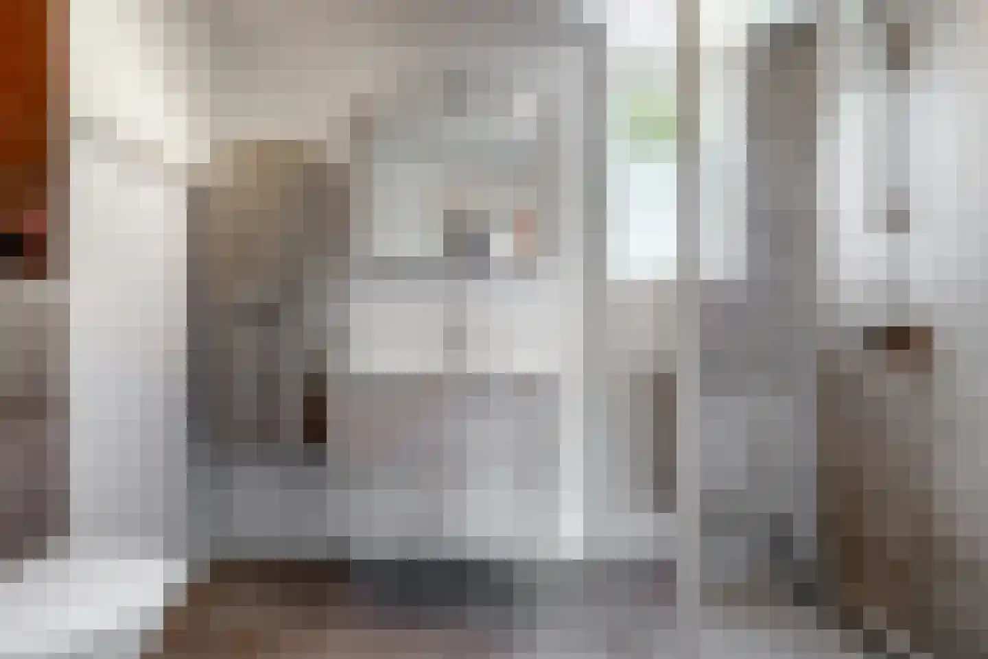 Denemarkensingel 100 Alphen aan den Rijn thumbnail 16