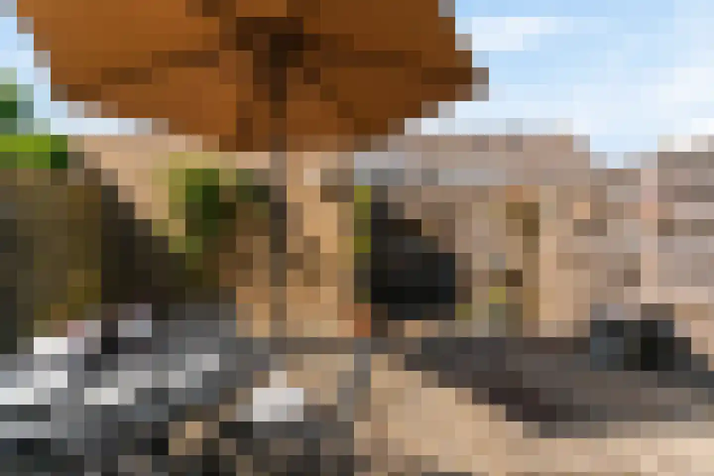 Denemarkensingel 100 Alphen aan den Rijn thumbnail 5
