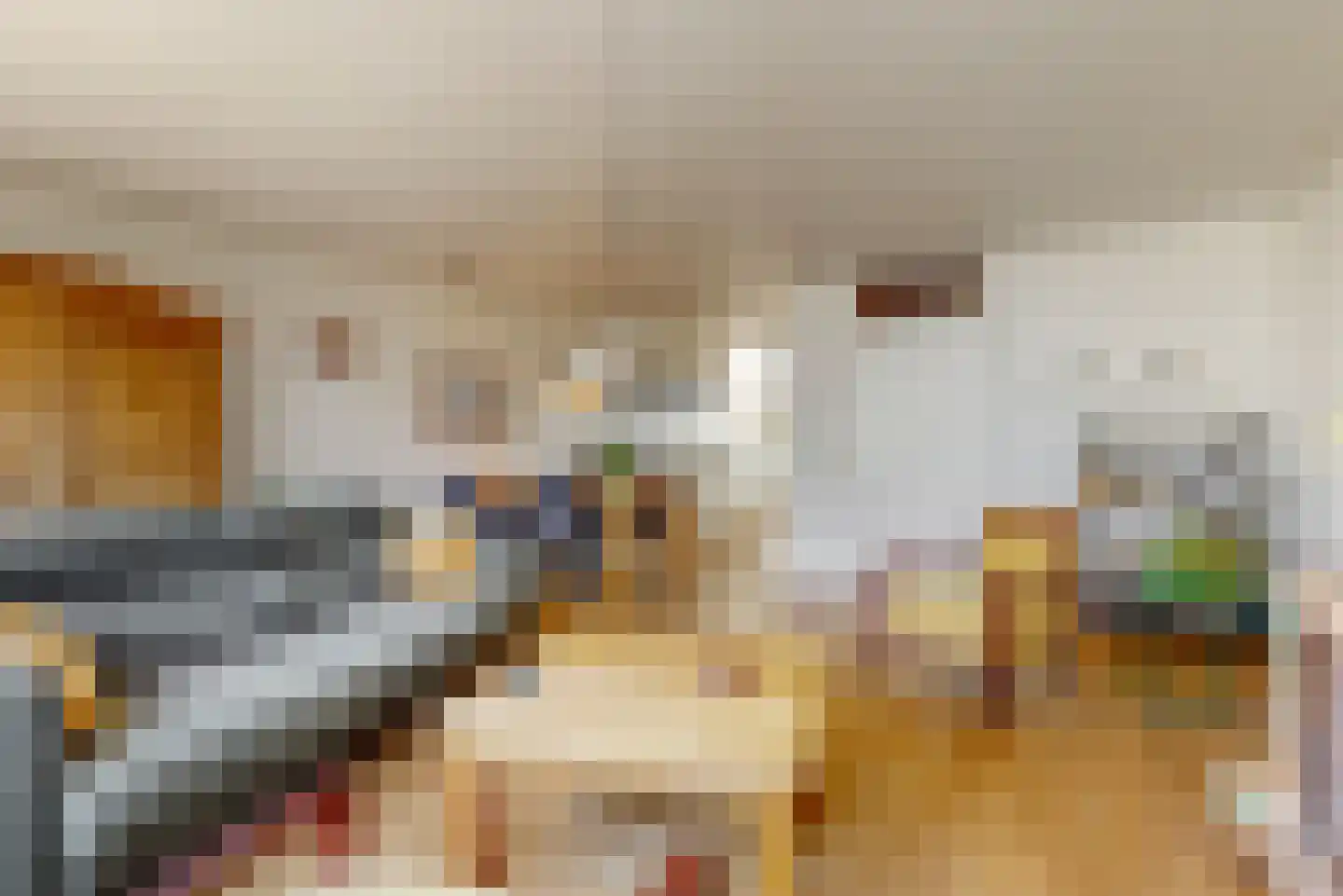 Denemarkensingel 100 Alphen aan den Rijn thumbnail 6