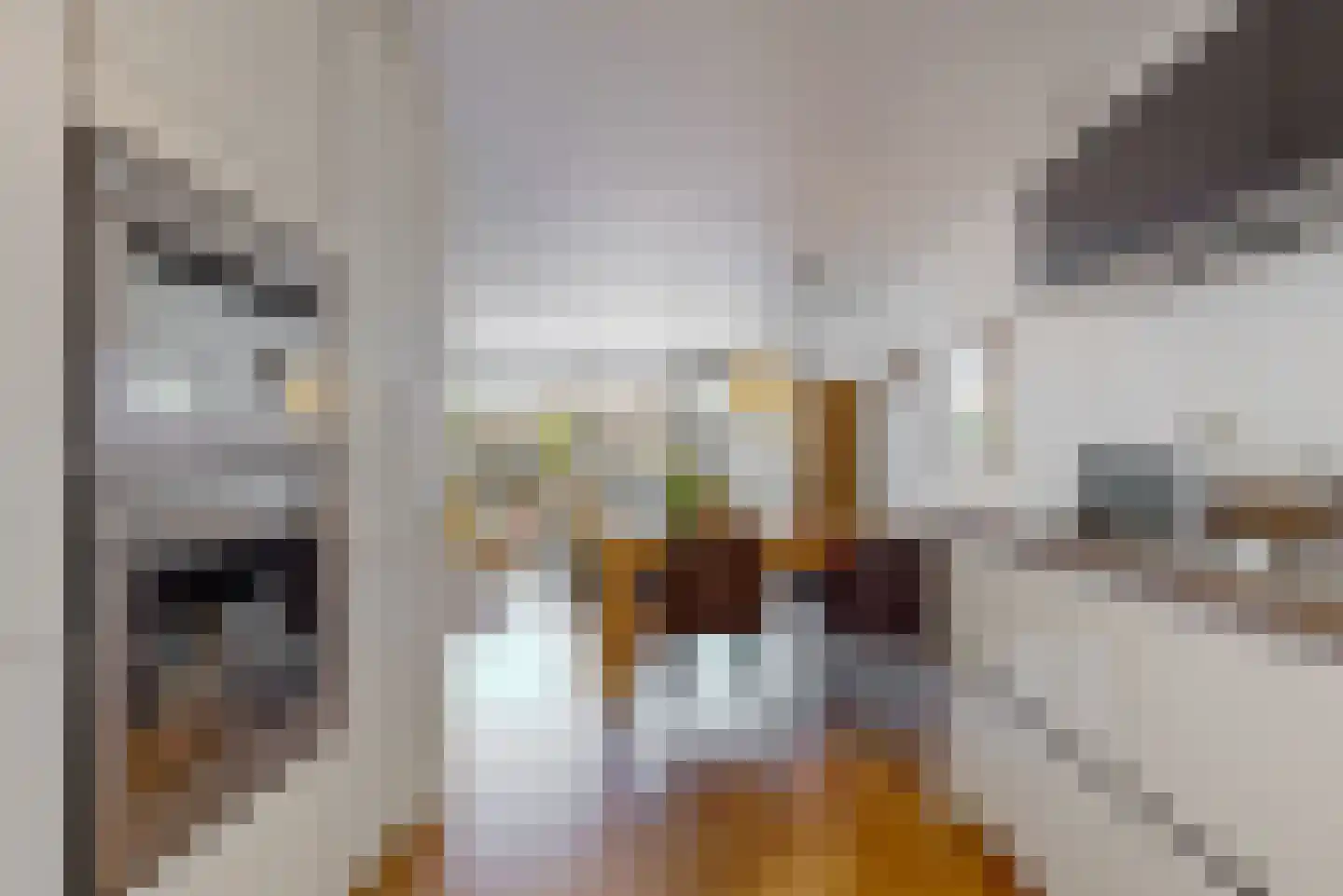 Denemarkensingel 100 Alphen aan den Rijn thumbnail 9