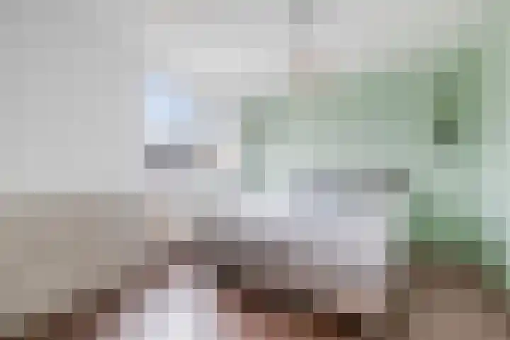 Denemarkensingel 34 Alphen aan den Rijn thumbnail 15