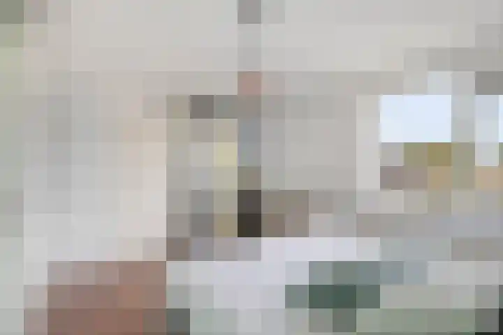 Denemarkensingel 34 Alphen aan den Rijn thumbnail 16