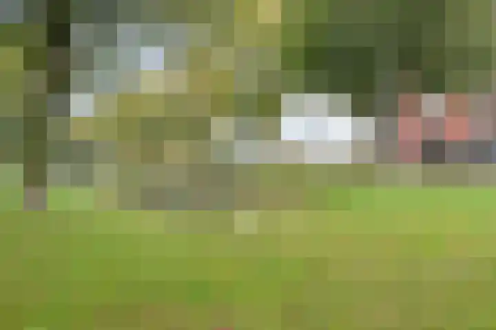 Denemarkensingel 34 Alphen aan den Rijn thumbnail 25