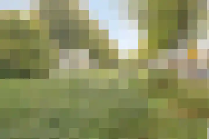 Denemarkensingel 34 Alphen aan den Rijn thumbnail 26