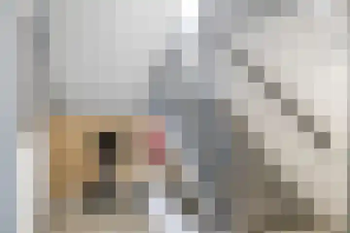 Denemarkensingel 34 Alphen aan den Rijn thumbnail 7