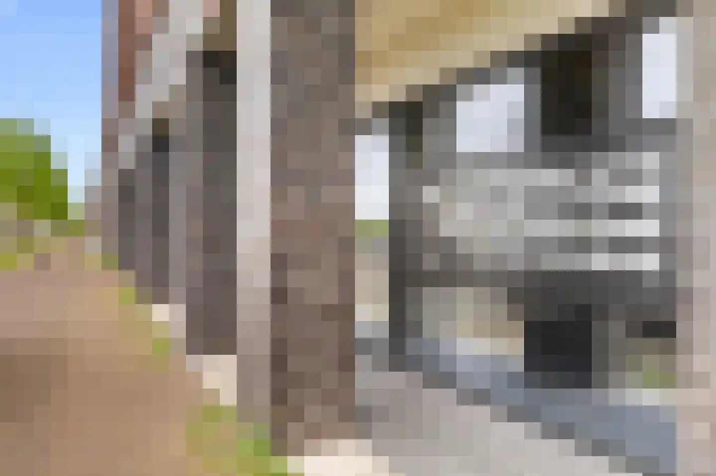 Denemarkenstraat 14 Almere thumbnail 39