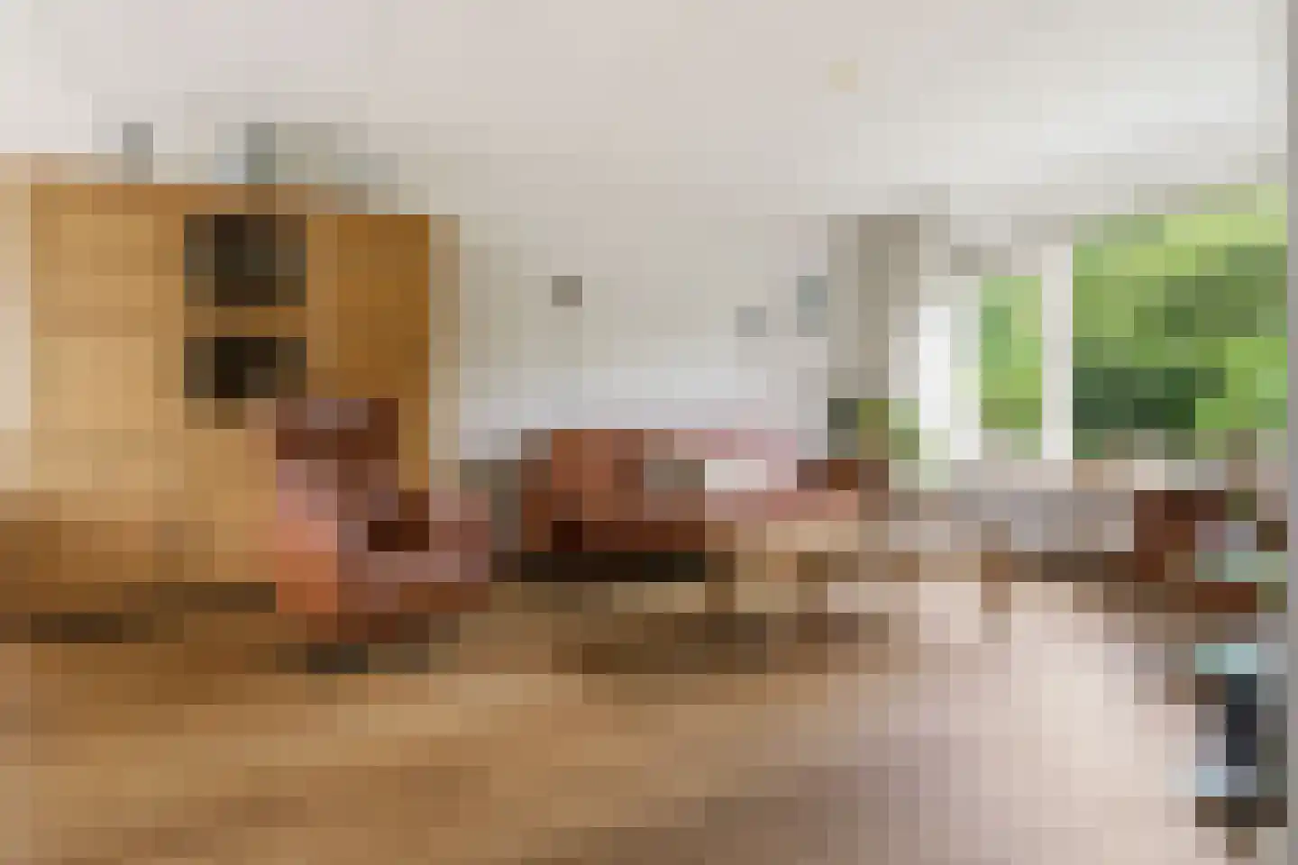 Denemarkenstraat 16 Heemskerk thumbnail 7