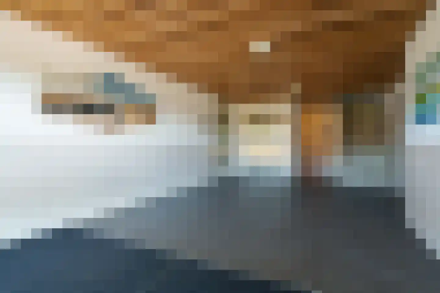 Denemarkenstraat 4 Almere thumbnail 35