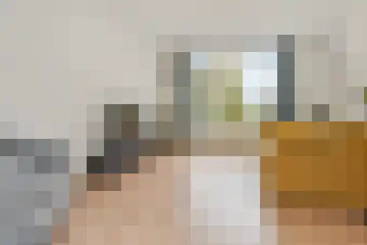 Denenburg 18 Den Haag thumbnail 19