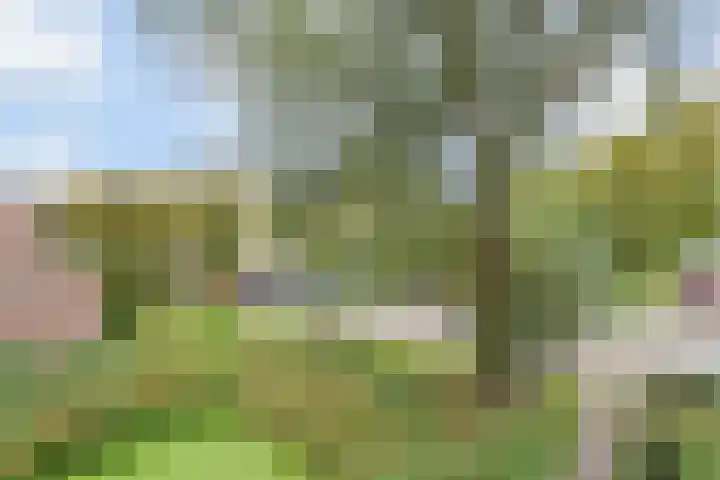 Denenburg 18 Den Haag thumbnail 5