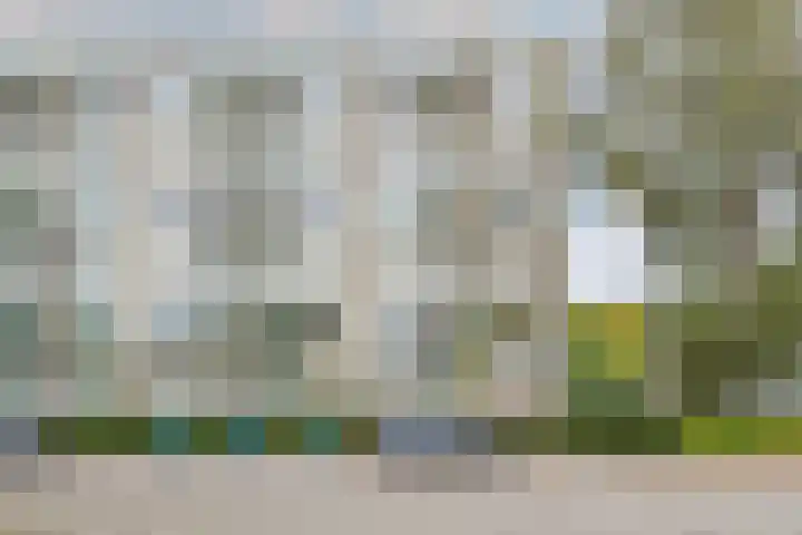 Denenburg 18 Den Haag thumbnail 6