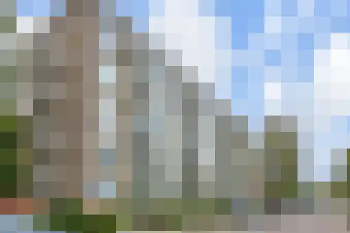 Denenburg 18 Den Haag thumbnail 7