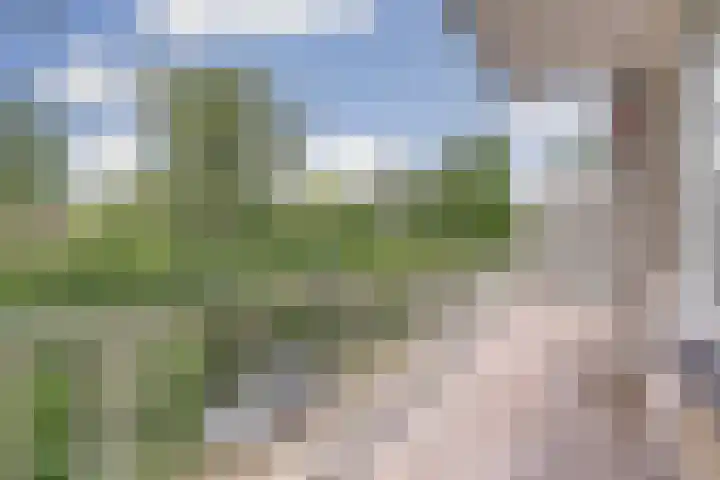 Denenburg 21 Den Haag thumbnail 12