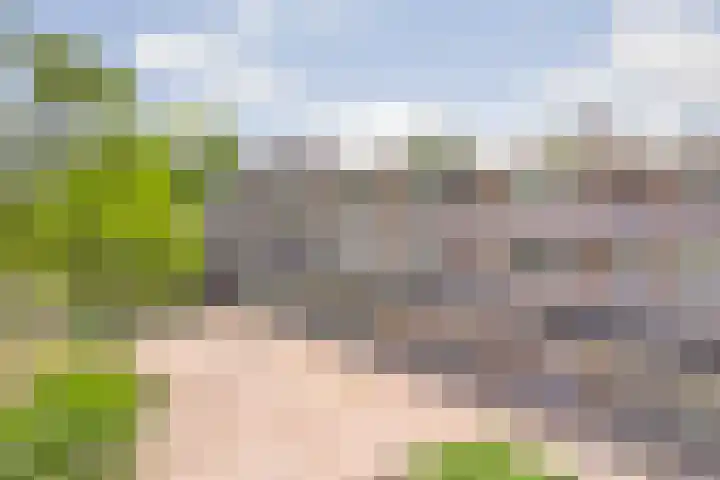 Denenburg 21 Den Haag thumbnail 24