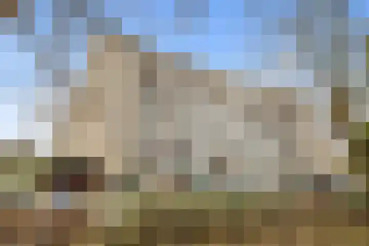 Denenburg 22 Den Haag thumbnail 22