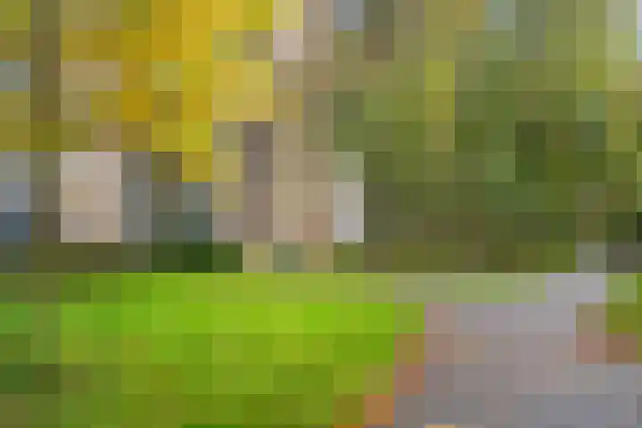 Denenburg 75 Den Haag thumbnail 6