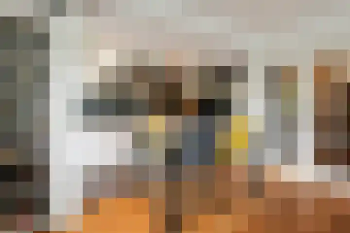 Denenburg 97 Den Haag thumbnail 8