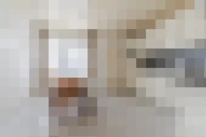 Denestraat 31 Reusel thumbnail 10