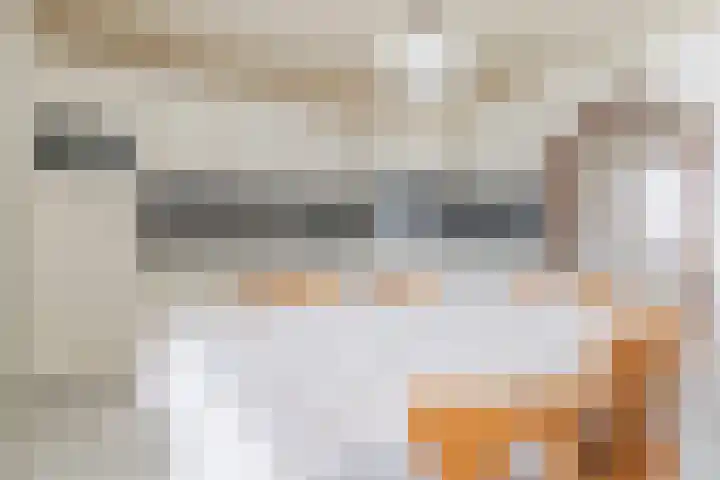 Denestraat 31 Reusel thumbnail 12