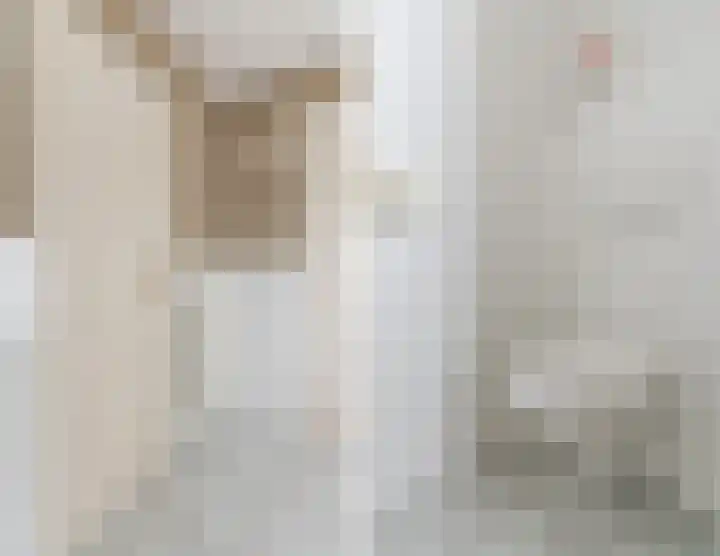 Denestraat 31 Reusel thumbnail 19
