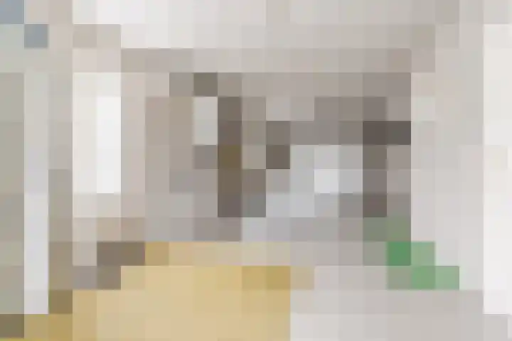Denestraat 31 Reusel thumbnail 20