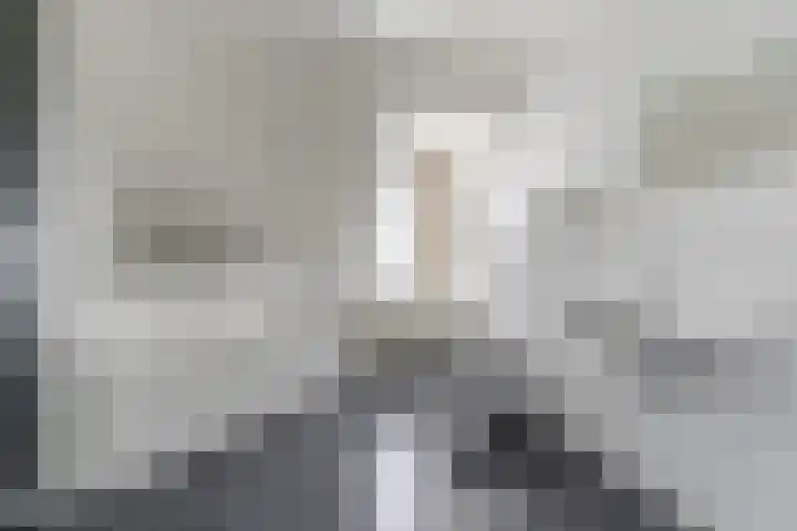 Denestraat 31 Reusel thumbnail 32