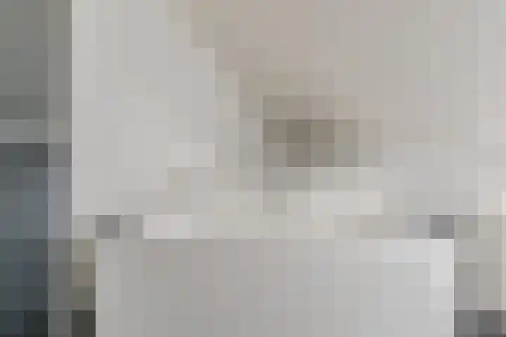 Denestraat 31 Reusel thumbnail 34