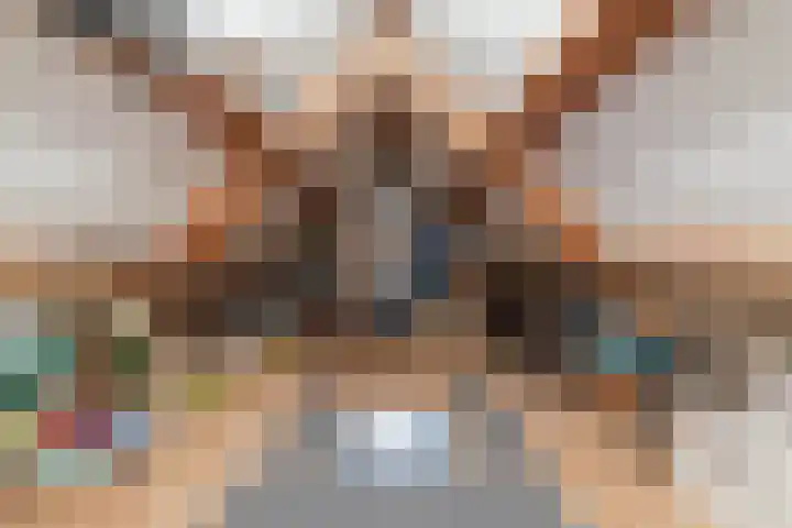 Denestraat 31 Reusel thumbnail 38