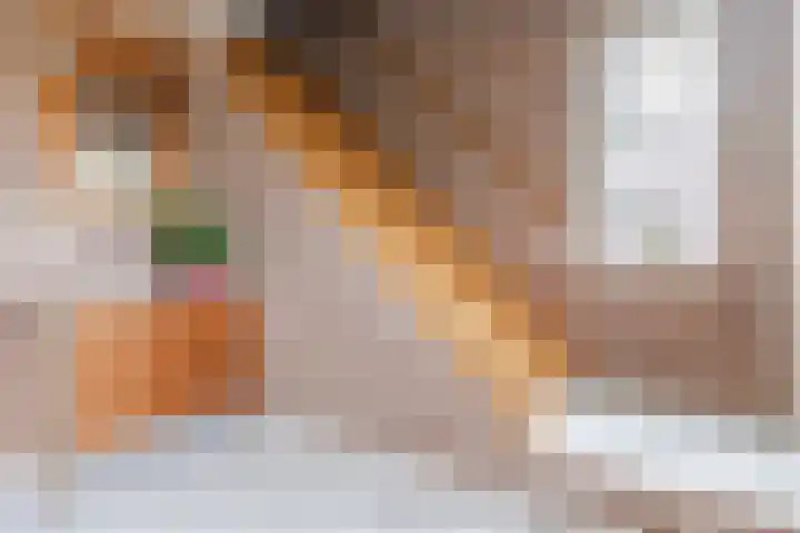 Denestraat 31 Reusel thumbnail 4