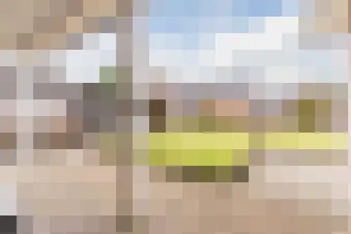 Denestraat 31 Reusel thumbnail 40