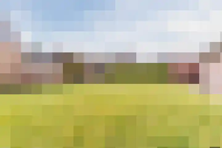 Denestraat 31 Reusel thumbnail 42