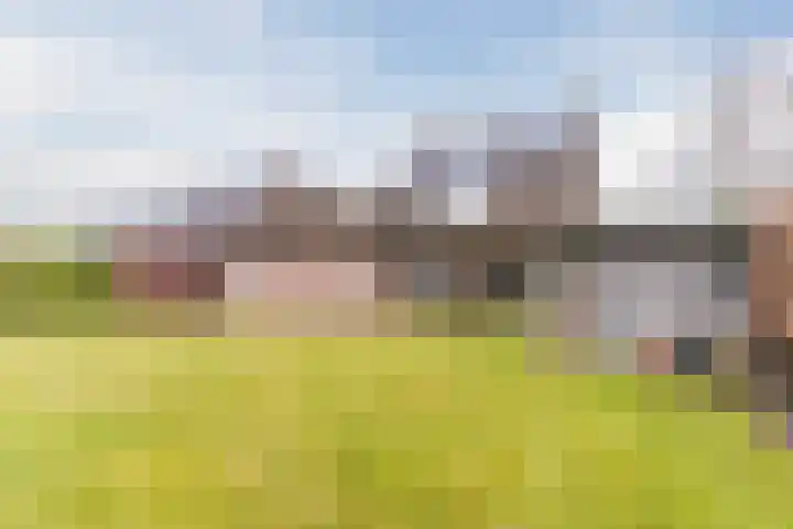 Denestraat 31 Reusel thumbnail 43