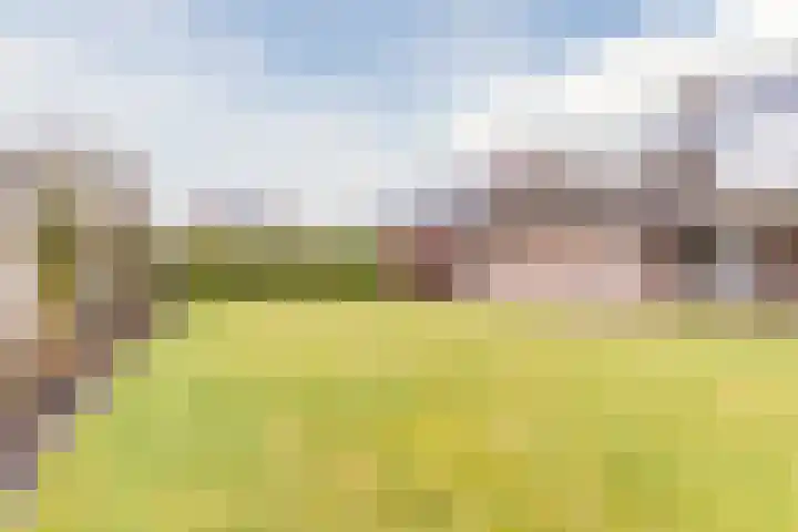 Denestraat 31 Reusel thumbnail 44