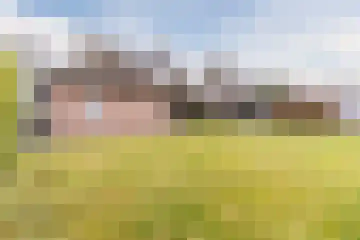 Denestraat 31 Reusel thumbnail 46