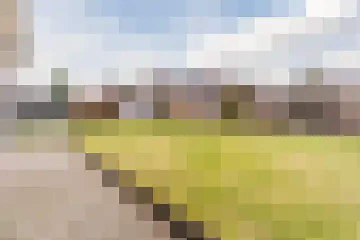 Denestraat 31 Reusel thumbnail 47